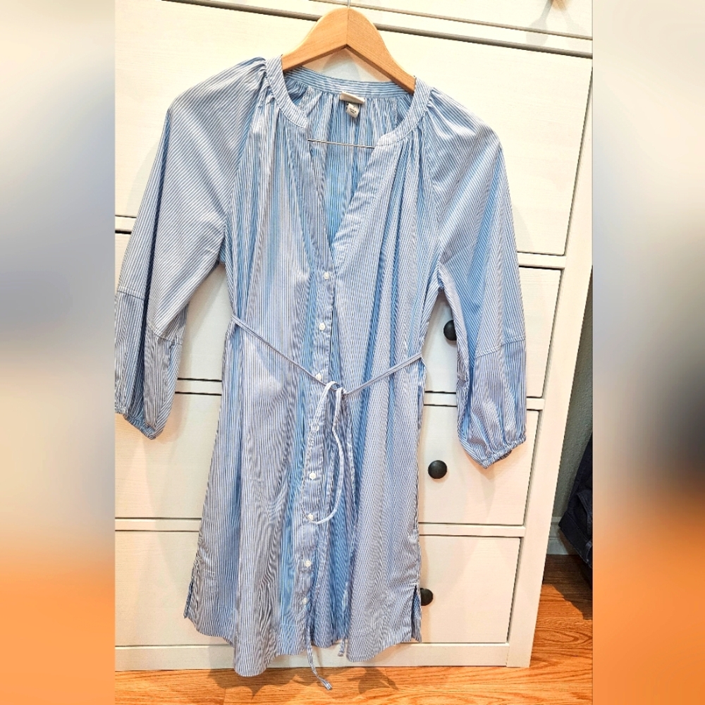 Small Blue Striped Button-Down Tunic Dress